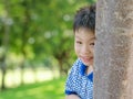 Boy peeking from behind tree Royalty Free Stock Photo