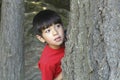 Boy peeks from behind tree. Royalty Free Stock Photo