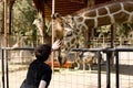Boy Petting Giraffe