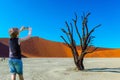 Boy photographs trees with a mobile phone Royalty Free Stock Photo