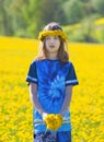 Boy Picking Dandelions on a Meadow Royalty Free Stock Photo