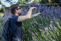 A boy picking a purple lavender flowers Royalty Free Stock Photo