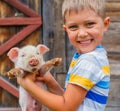 Boy with piglet Royalty Free Stock Photo