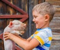 Boy with piglet Royalty Free Stock Photo