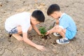 Boy planting on crack soil