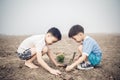 Boy planting on crack soil