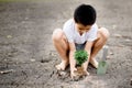Boy planting on crack soil