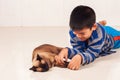 Boy play with brown cat Royalty Free Stock Photo