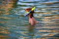 Boy playing on the beach on summer holidays. Happy child swimming in the sea. Kid snorkeling in the ocean.