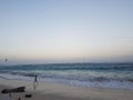 Boy playing on the beach at sunset Royalty Free Stock Photo