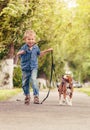 Boy playing with beagle puppy Royalty Free Stock Photo