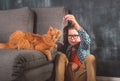 boy playing with a cat. Kid with ginger pet cat. Royalty Free Stock Photo