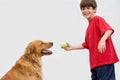 Boy Playing Catch with Dog Royalty Free Stock Photo