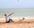 The boy is playing with Dog on the beach Royalty Free Stock Photo