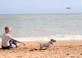 The boy is playing with Dog on the beach Royalty Free Stock Photo