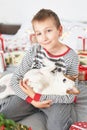 Boy playing with dog jack russell on a bed