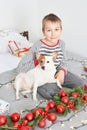 Boy playing with dog jack russell on a bed