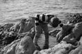 Boy Playing and Exploring in Tidal Pools Near the Ocean Royalty Free Stock Photo