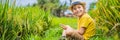 Boy playing phone sitting on the green grass, modern children, new technologies, children`s dependence on the phone Royalty Free Stock Photo