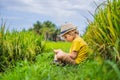 Boy playing phone sitting on the green grass, modern children, new technologies, children`s dependence on the phone Royalty Free Stock Photo