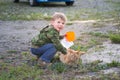 The boy is playing with a red cat. Royalty Free Stock Photo