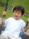 Boy playing swing Royalty Free Stock Photo