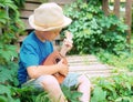 Boy playing ukulele on nature background. Summer outdoor activity. Music background. Royalty Free Stock Photo