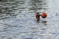 A boy plays with a ball in the water Royalty Free Stock Photo