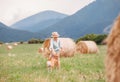 Boy plays with dog on the field with hayroll