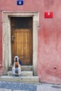 Boy plays smartphone on stairs on old house before door. Royalty Free Stock Photo