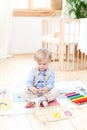 The boy plays with wooden toys at home. Educational wooden toys for the child. Portrait of a boy sitting on the floor in the child Royalty Free Stock Photo