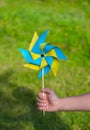 A boy plays with a yellow and blue paper 8-petal weather vane in the garden. Children`s creativity, crafts