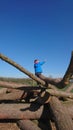 Boy pointing up at blue sky