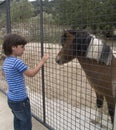 Boy with pony Royalty Free Stock Photo