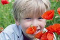 Boy in a poppy field Royalty Free Stock Photo