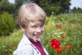 Boy in a poppy field, springtime Royalty Free Stock Photo
