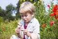 Boy in a poppy field, springtime Royalty Free Stock Photo