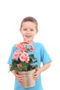 Boy with potted flower Royalty Free Stock Photo