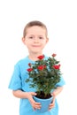 Boy with potted flower Royalty Free Stock Photo