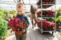 Boy with a potted plant and his mom with a cart with flowers in a greenhouse from behind.