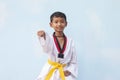 The boy is practicing Taekwondo pose Juchum Seogi.