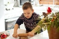 A boy prepares gingerbread cookies in the kitchen. Christmas family traditions. Leisure of the child during the New Royalty Free Stock Photo