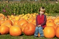 Boy at Pumpkin Patch Royalty Free Stock Photo