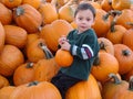 Boy among pumpkins