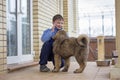 Boy and puppy Tibetan Mastiff Royalty Free Stock Photo