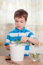 Boy puts plant in pot