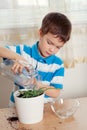 Boy puts plant in pot