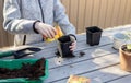 Boy puts plant seeds in a seedling pot in the backyard. concept of plant growing learning activity for preschool kid