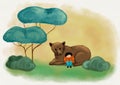 A boy reading with cute bear in green woodland and imagining fan