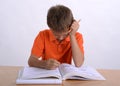 Boy reading homework Royalty Free Stock Photo